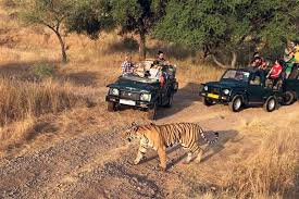 corbett safari tour
