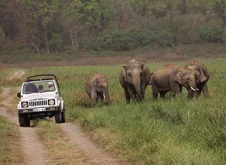corbett safari tour